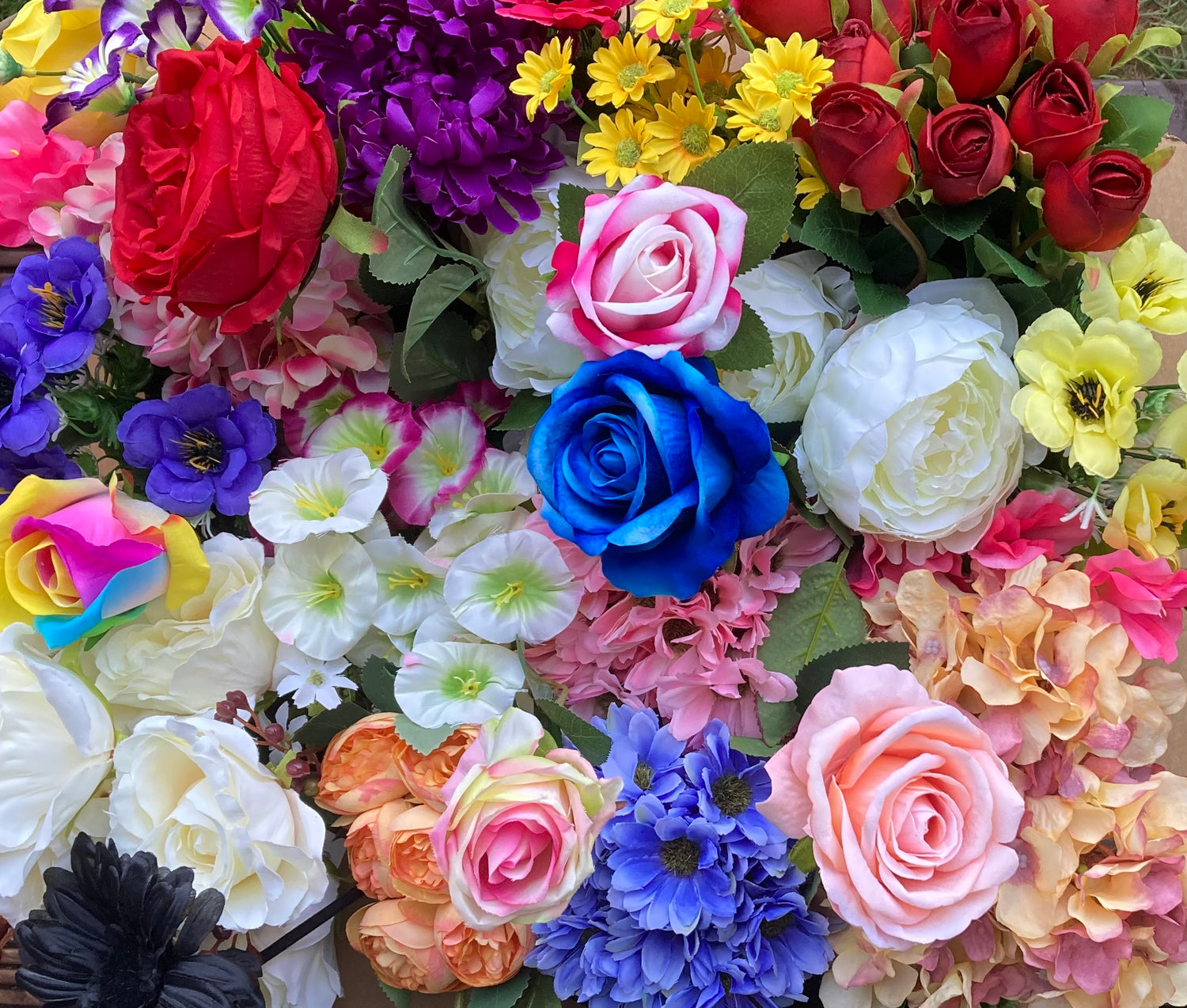 Floral Collection