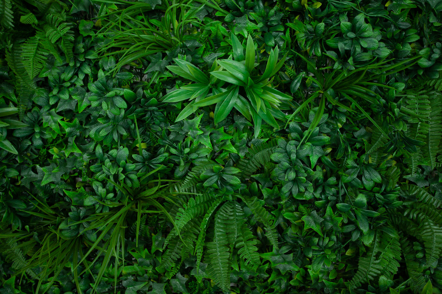Foliage Bunches