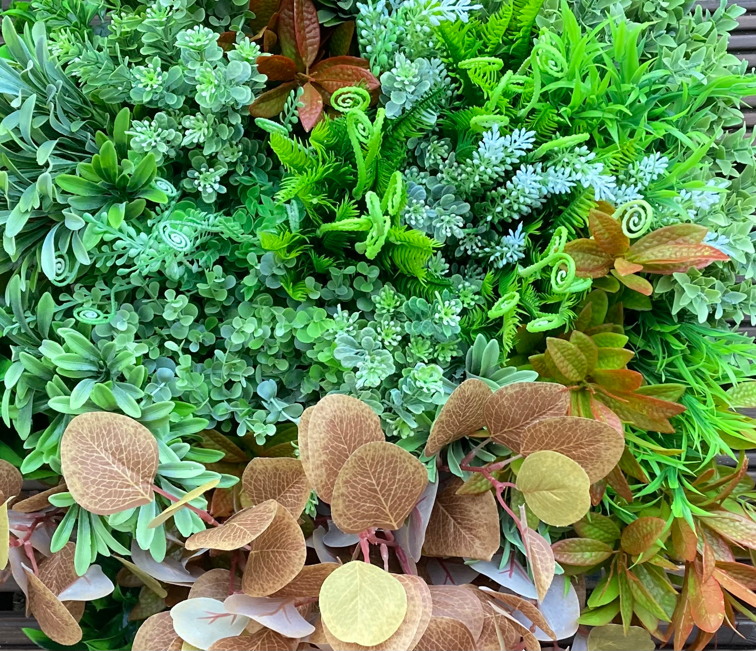Foliage Collection