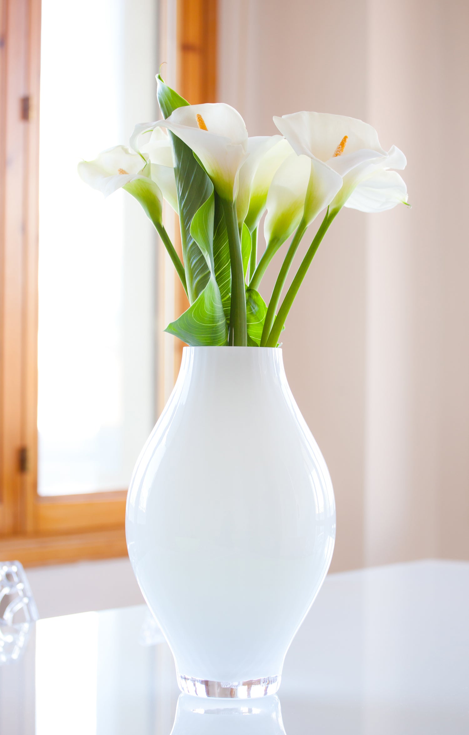 Vases
