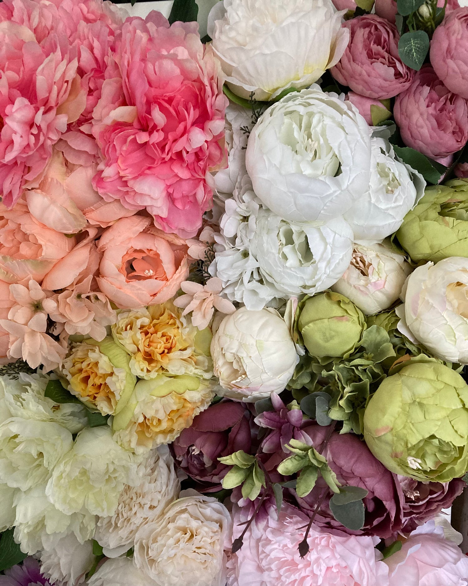 Peonies