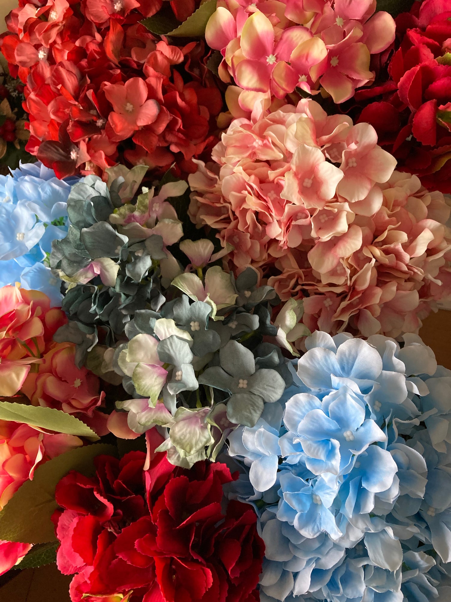 Hydrangeas