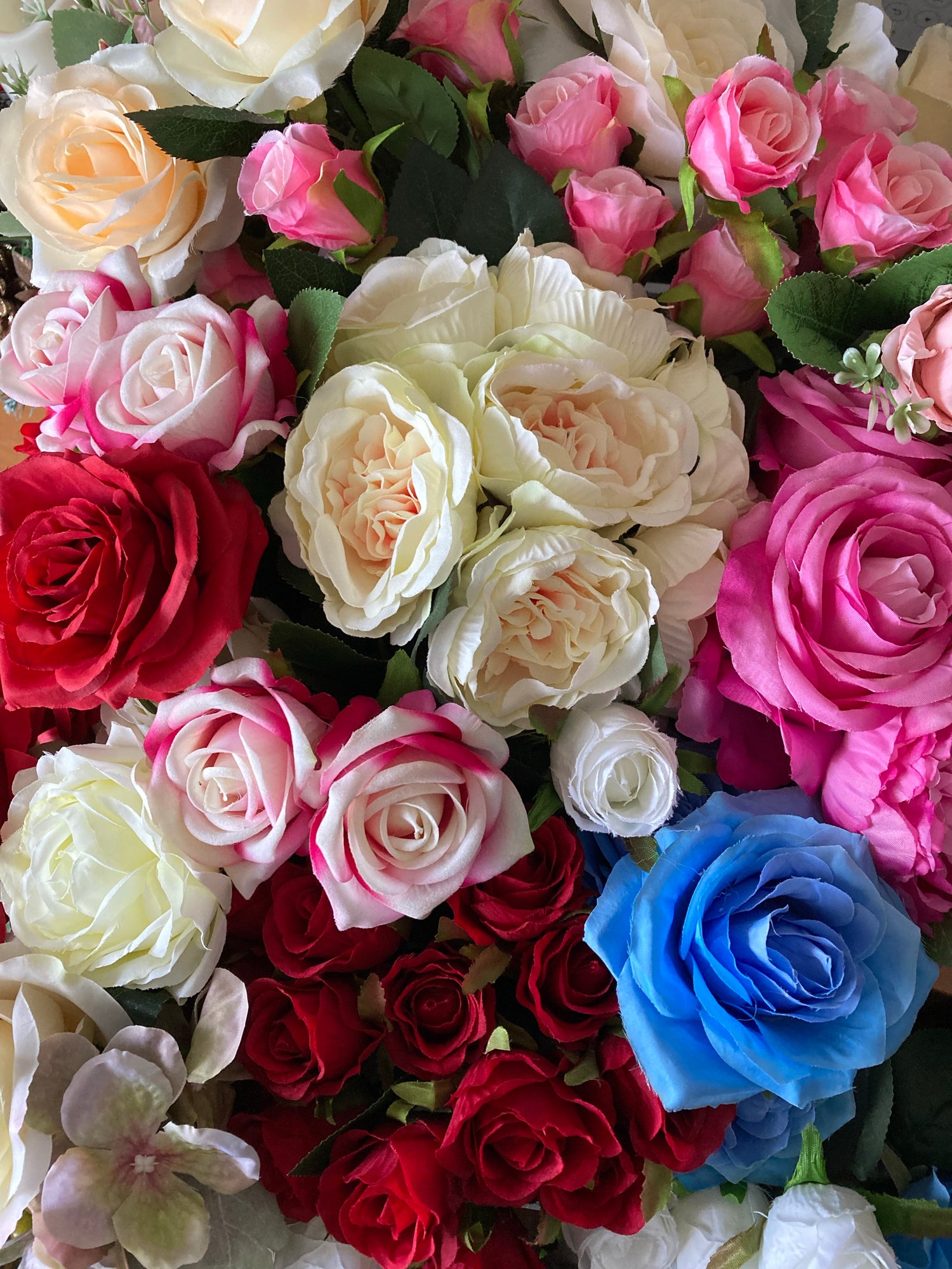 Roses