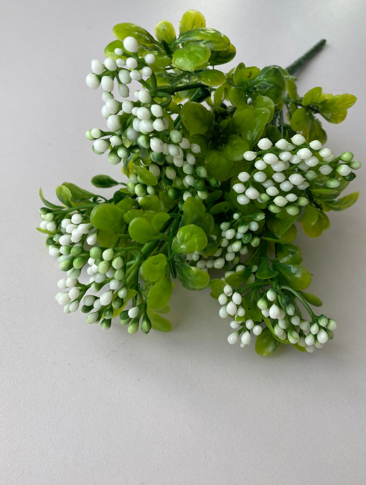 White Berry & foliage