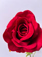 Long Stem Velvet Red Rose