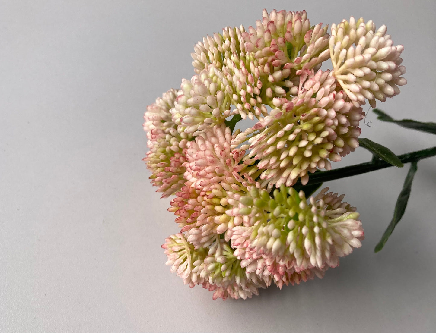 Light Pink Sedum Spray