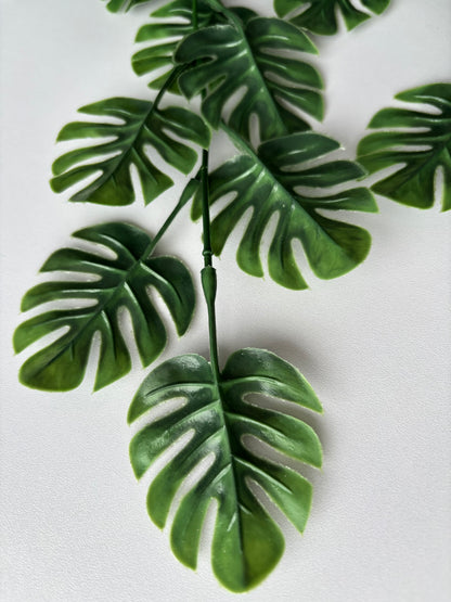 Trailing Monstera Leaf