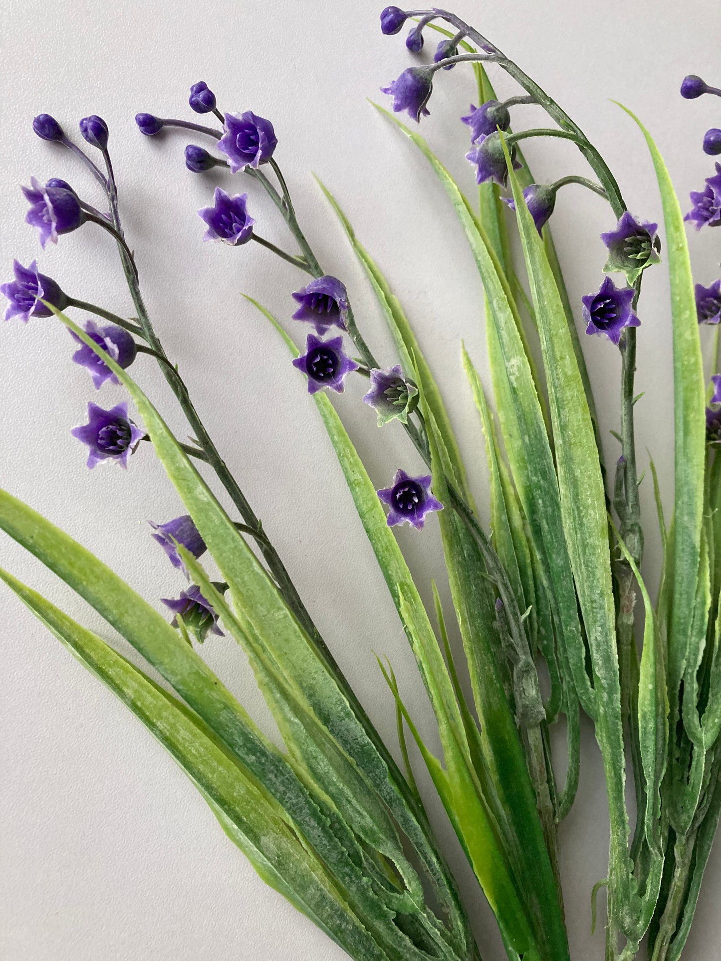 Purple Lily Of The Valley