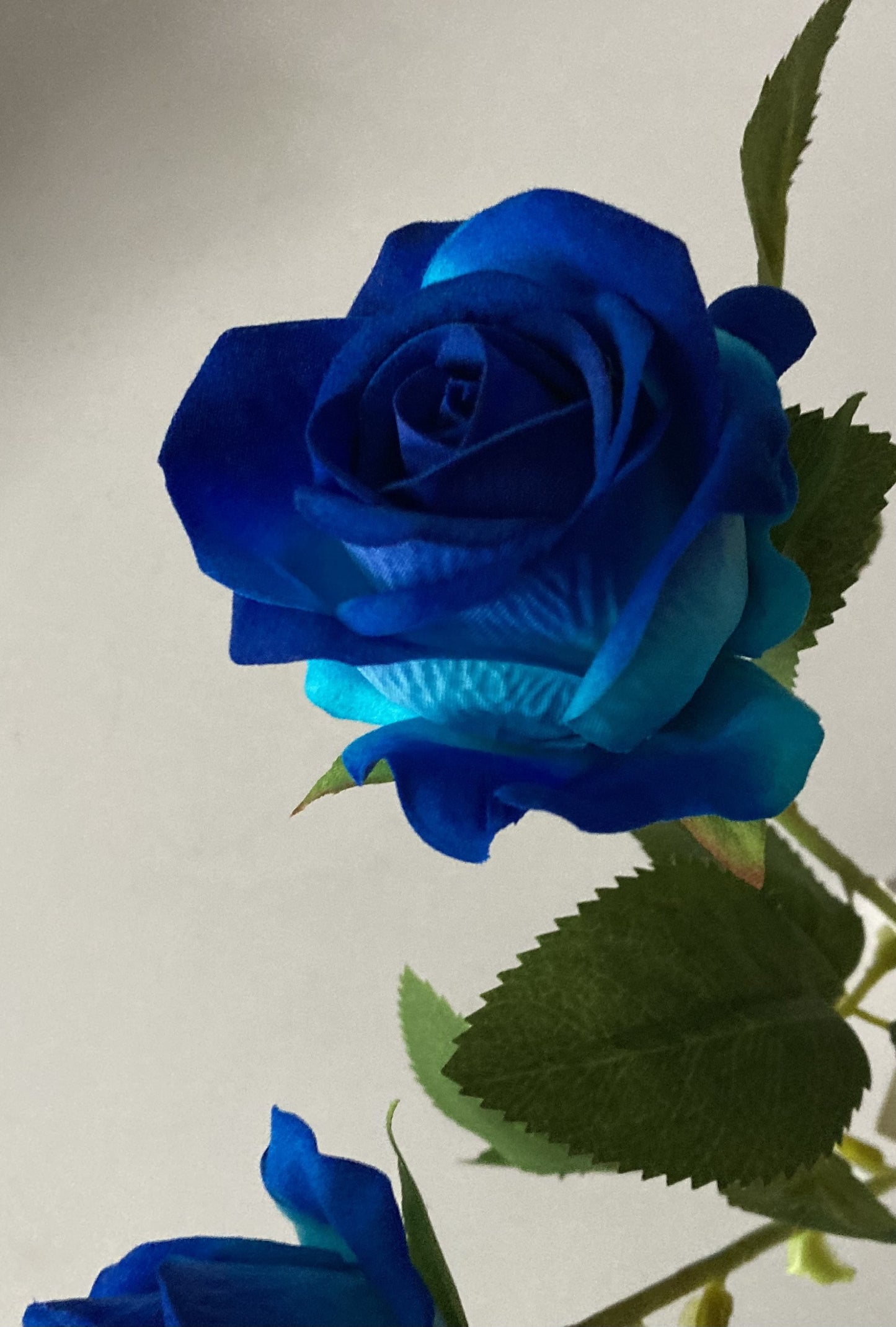 Small Velvet Royal Blue Rose