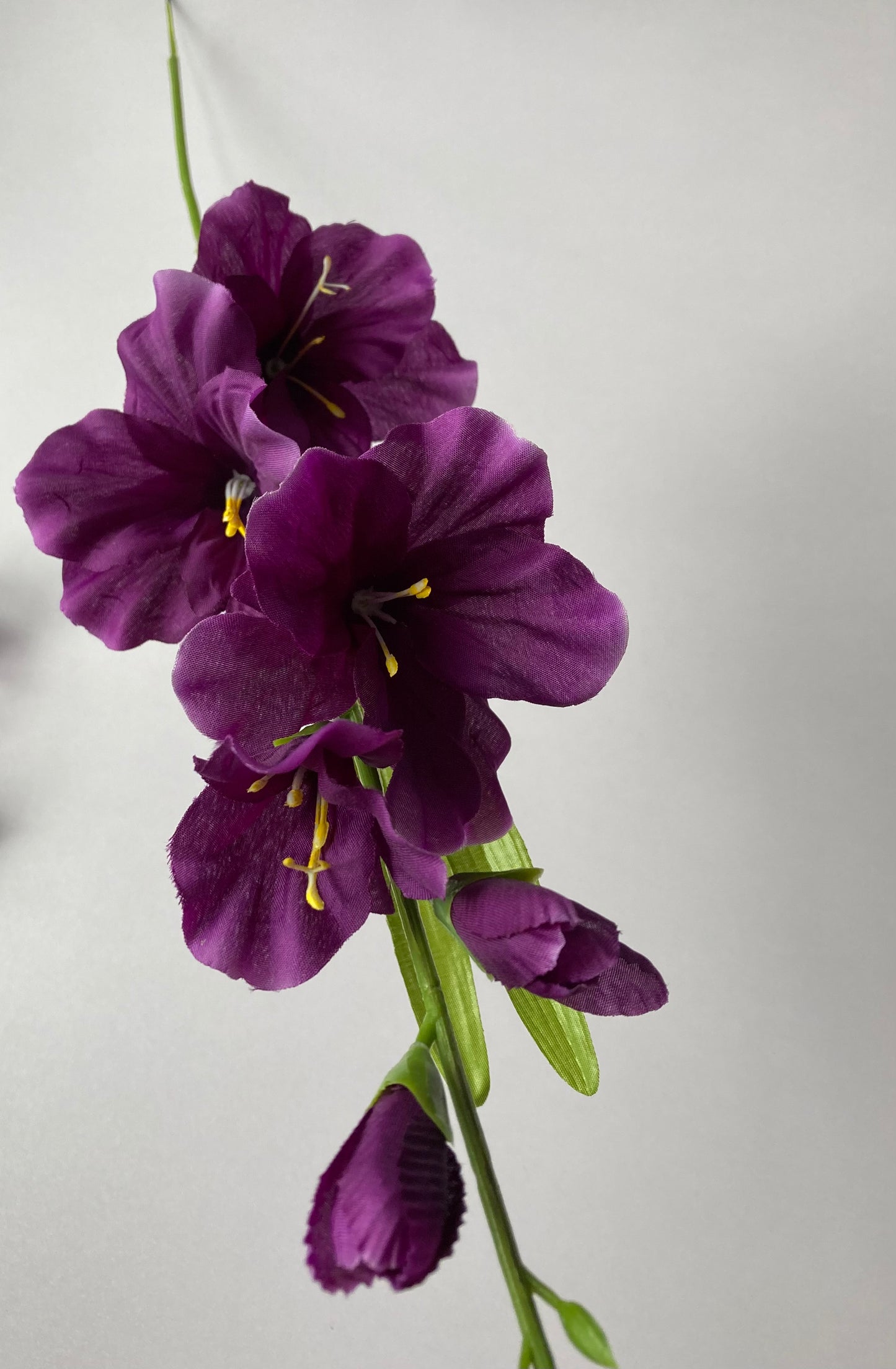 Purple Gladiolus Spray
