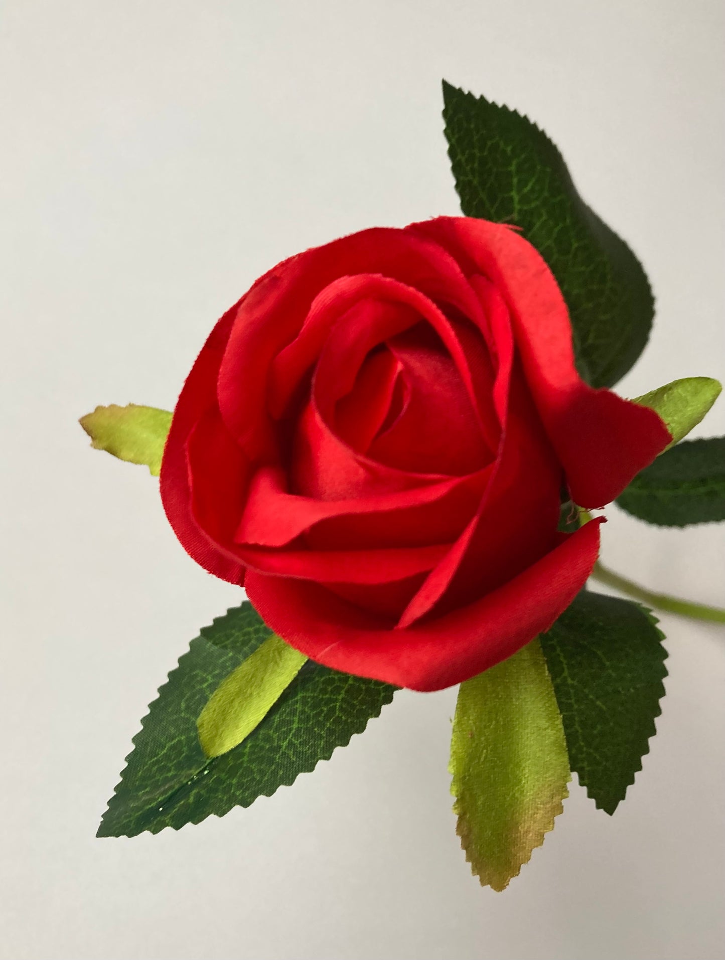 Short Stem Red Rose Bud