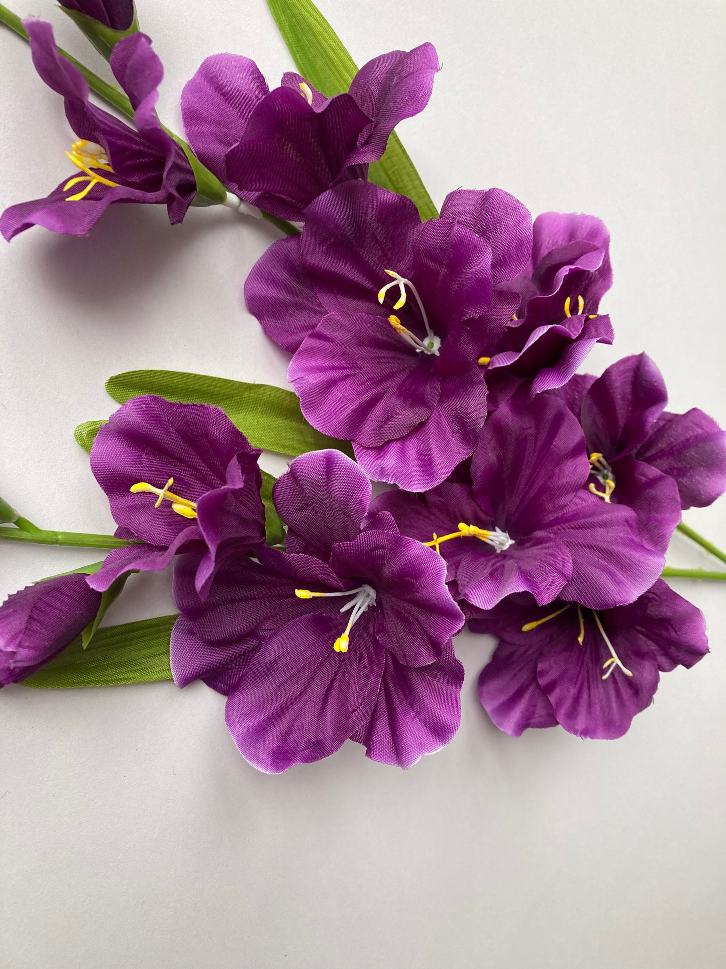 Purple Gladiolus Spray