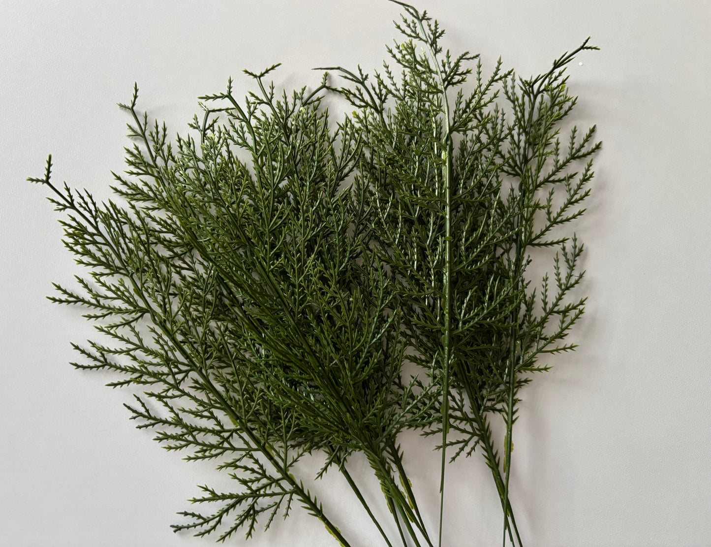 10 Cedar Single Stems