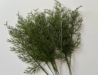 10 Cedar Single Stems