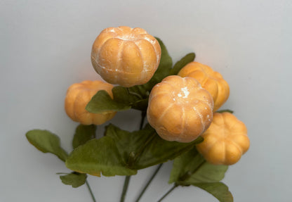 Soft Brown Pumpkin Bunch