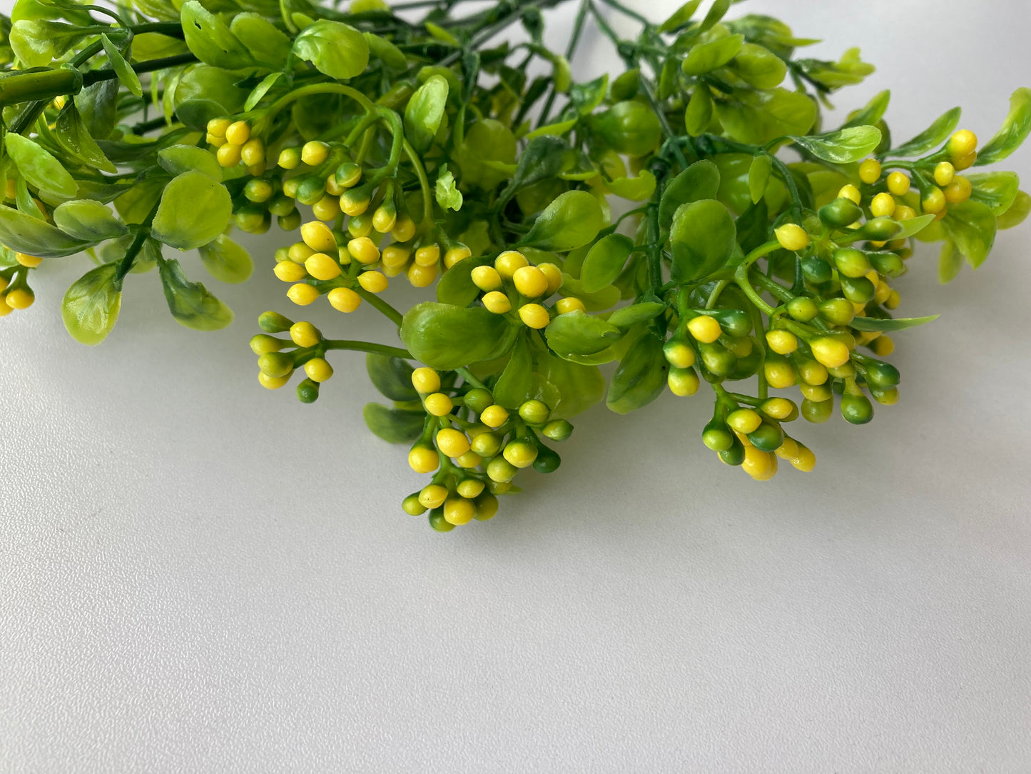 Yellow Berry & Foliage