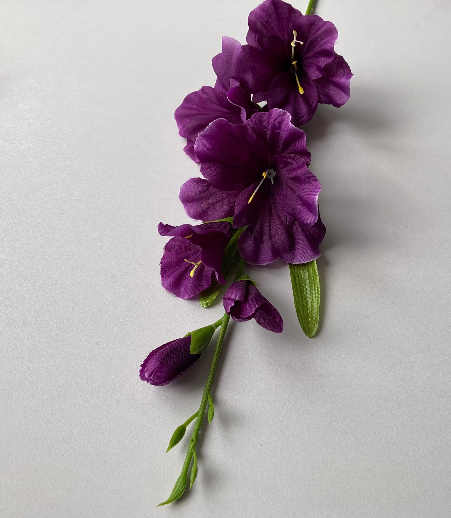 Purple Gladiolus Spray