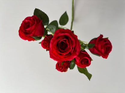 Red Rose Mixed Bud Spray