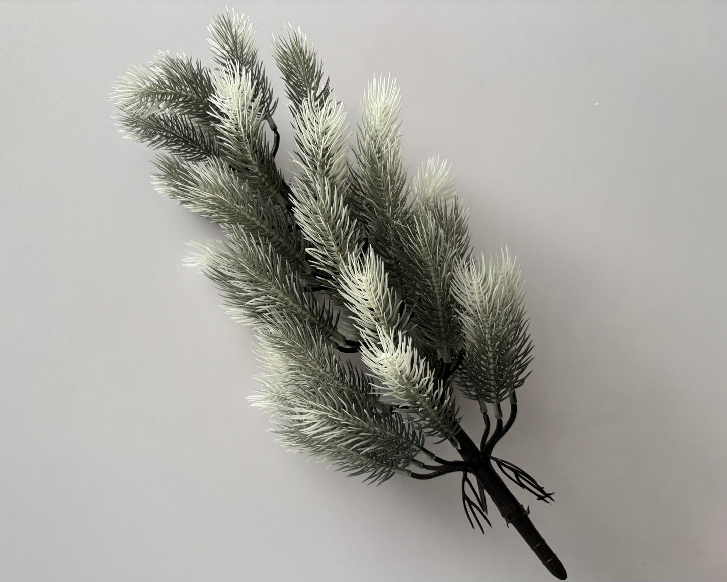 Small Snowy Spruce Tree