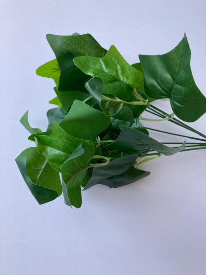Ivy Bunch