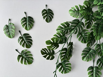 Trailing Monstera Leaf