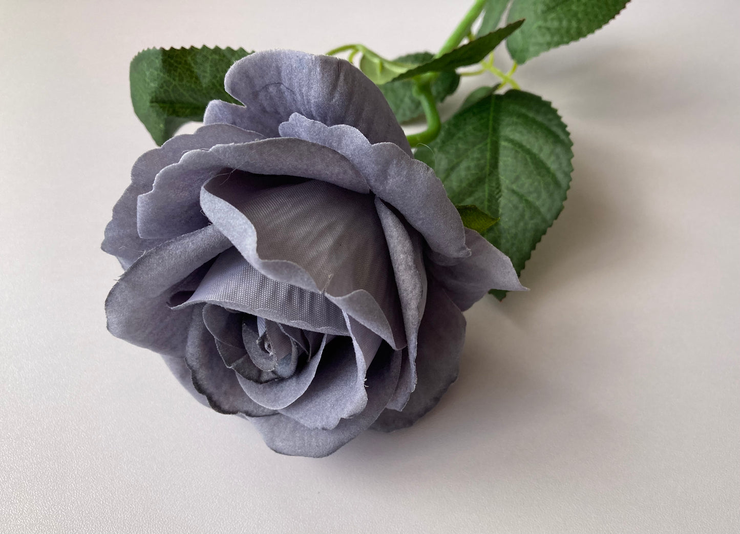 Grey Soft Velvet Touch Rose