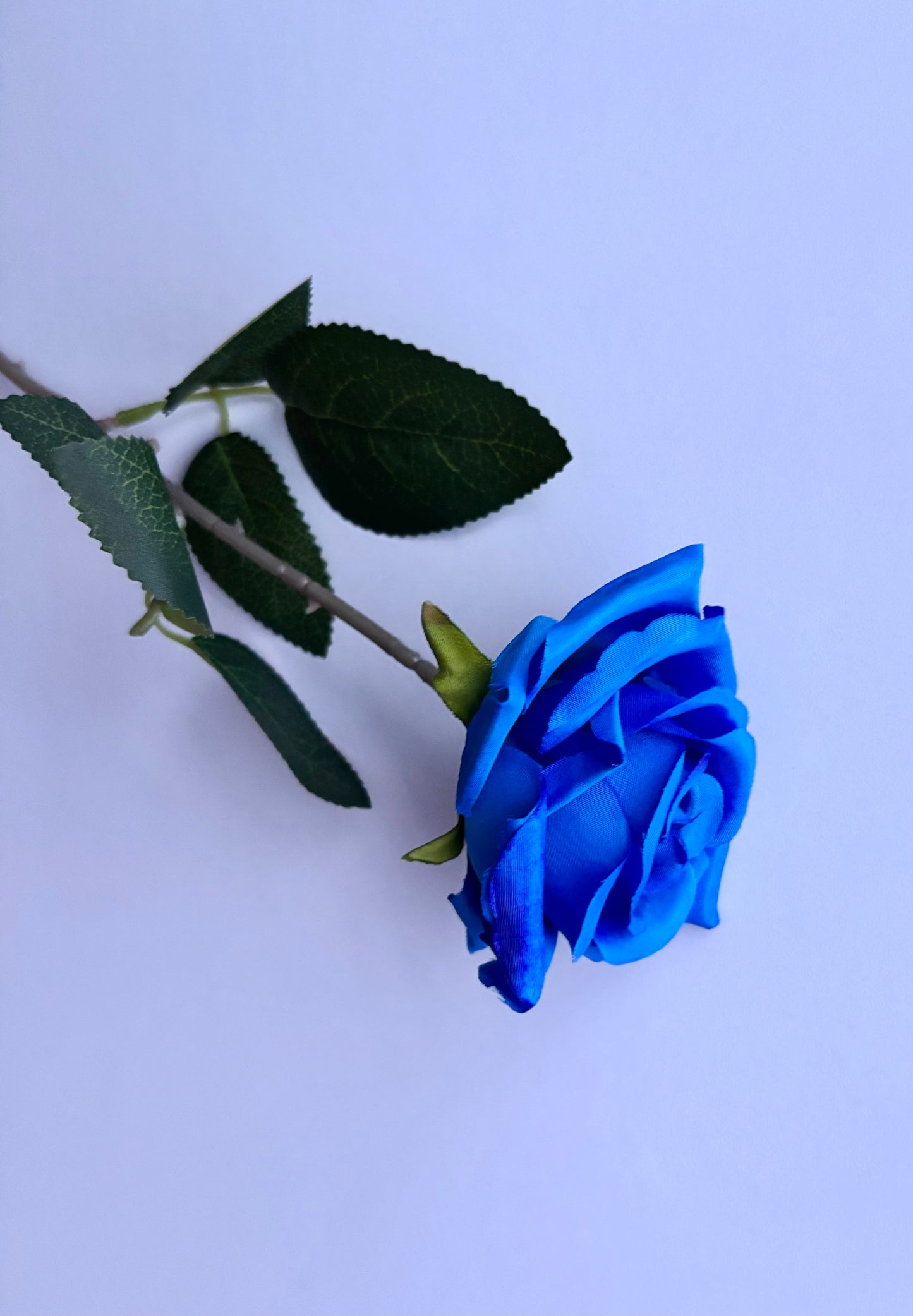 Diamond Blue Rose Stem