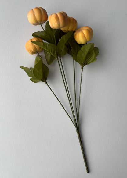 Soft Brown Pumpkin Bunch