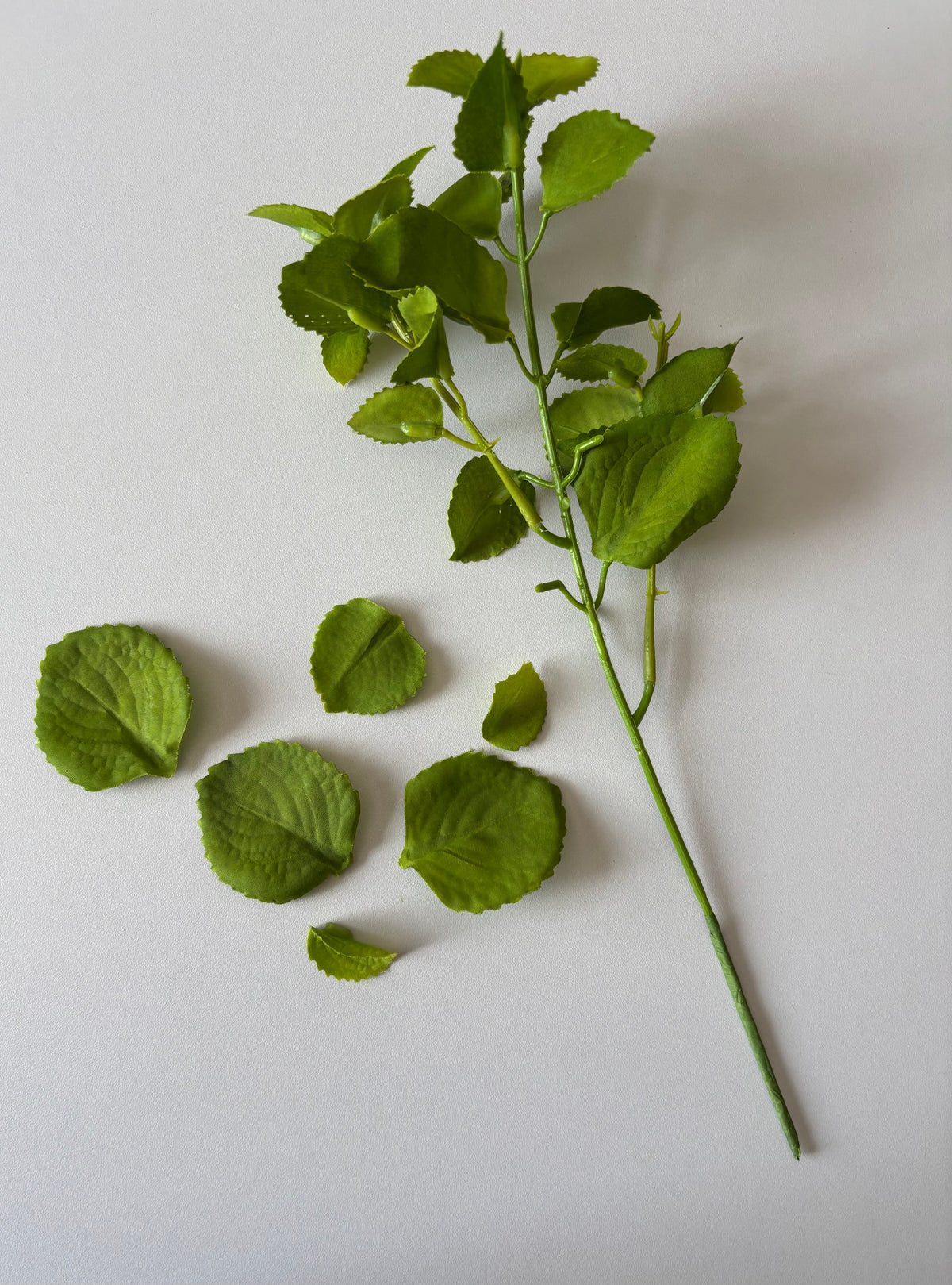 Flat lay shot of an artificial green patchouli leaf foliage spray showing the full main stem laid diagonally with multiple detached individual rounded serrated green fabric silk patchouli leaves of varying sizes scattered alongside against a plain white background showcasing the detachable leaf feature