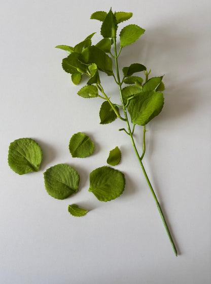 Flat lay shot of an artificial green patchouli leaf foliage spray showing the full main stem laid diagonally with multiple detached individual rounded serrated green fabric silk patchouli leaves of varying sizes scattered alongside against a plain white background showcasing the detachable leaf feature