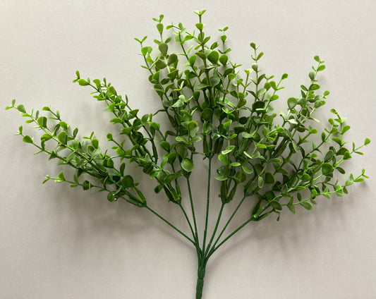 Mini Boxwood Bush Foliage