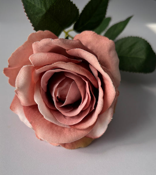 Dusky Pink Velvet Rose Stem