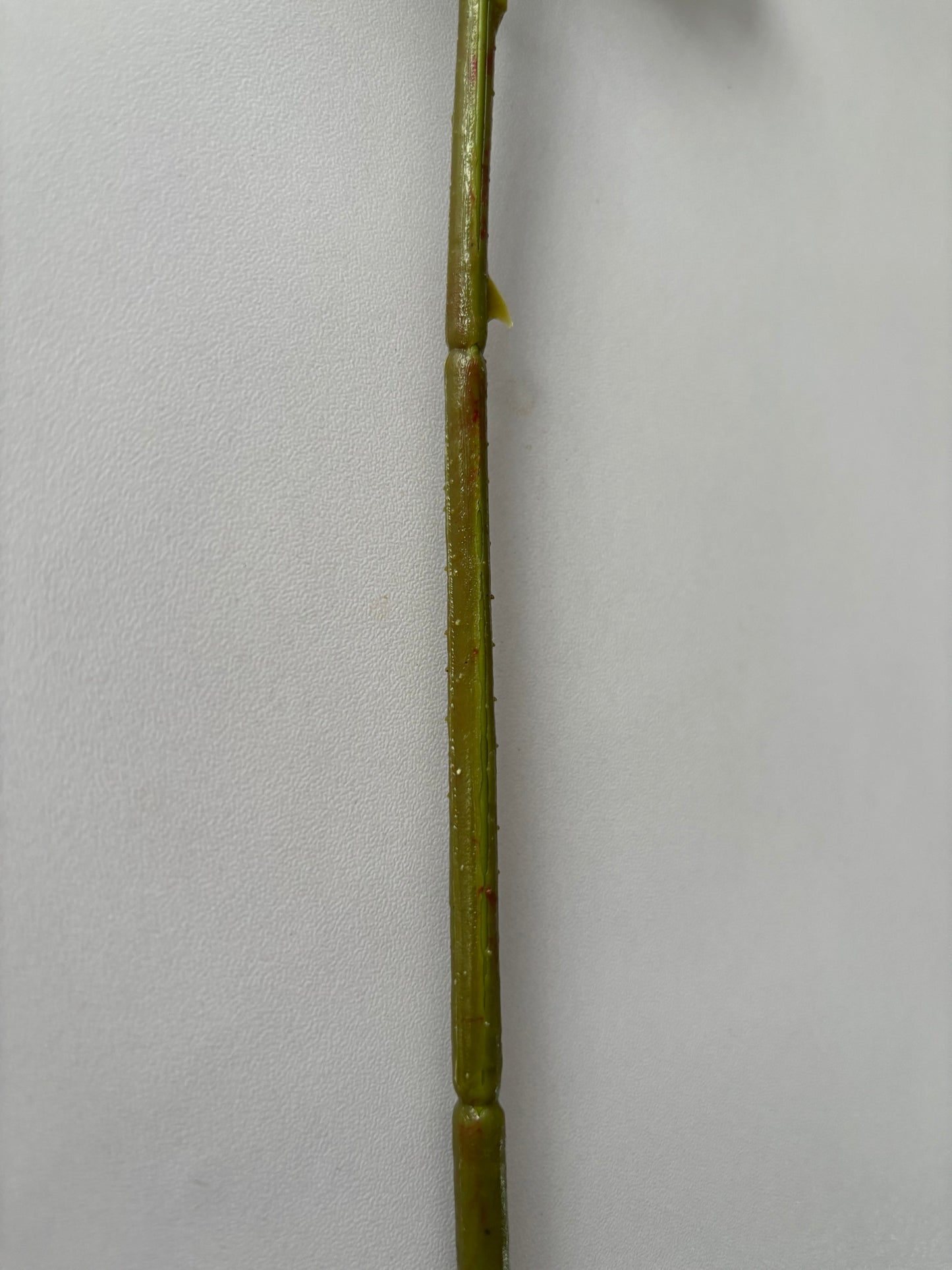 Real Touch Yellow Rose Stem