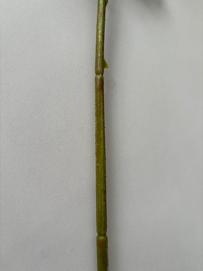 Real Touch Yellow Rose Stem