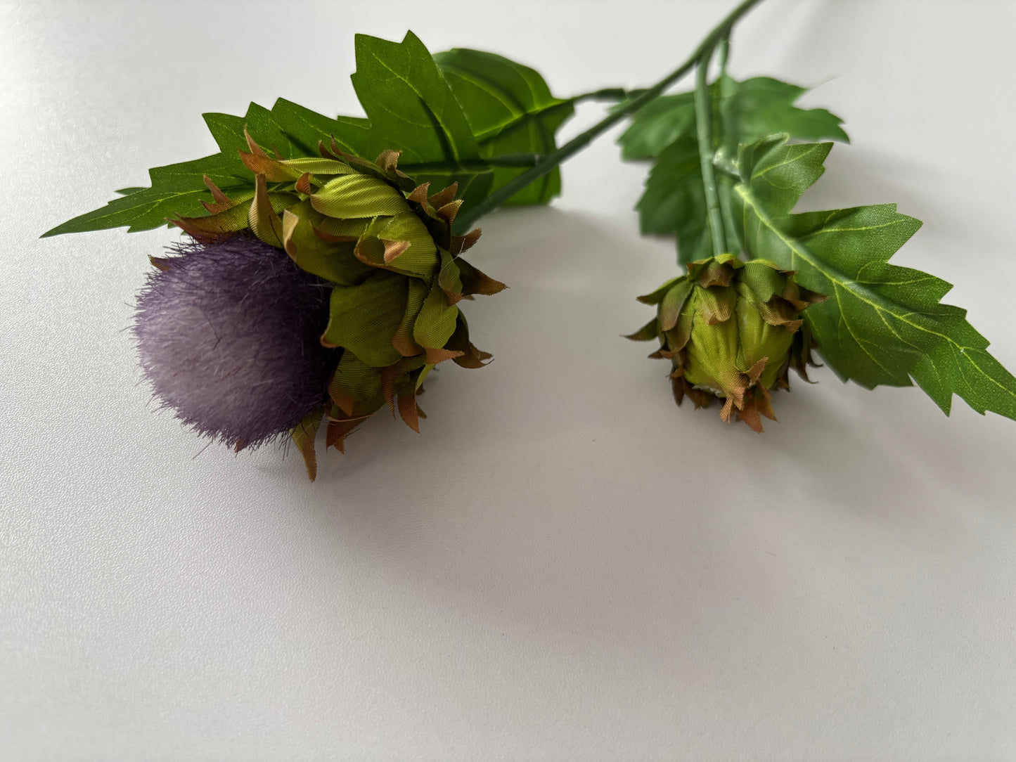 Thistle Spray