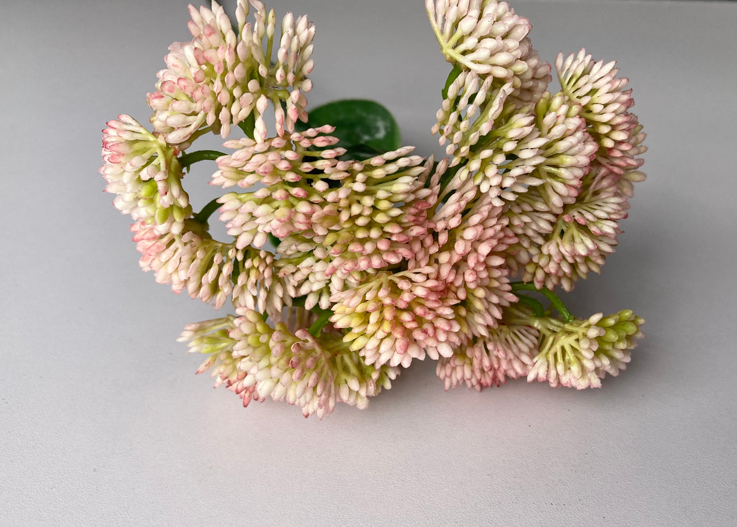 Light Pink Sedum Spray