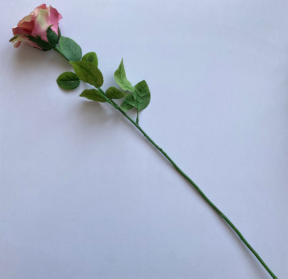 Elegant Open Deluxe Rose