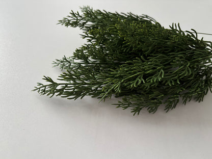 10 Cypress Branch Stems