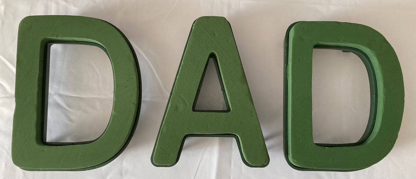 Oasis Dad Frame