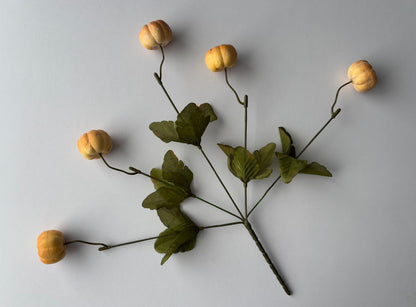 Soft Brown Pumpkin Bunch