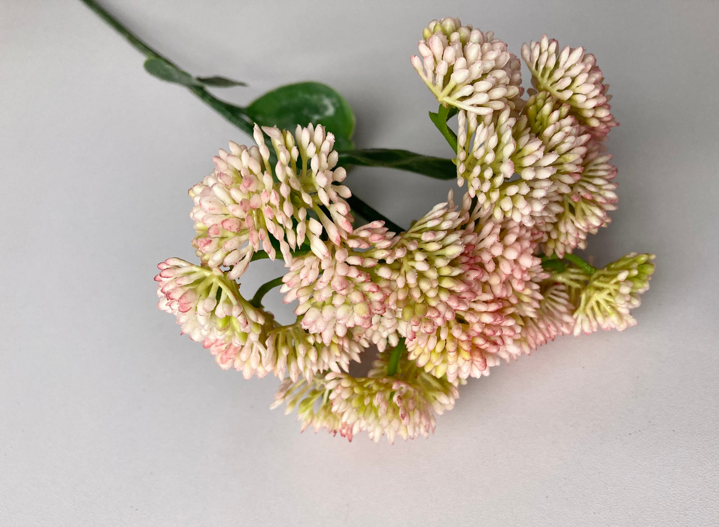 Light Pink Sedum Spray