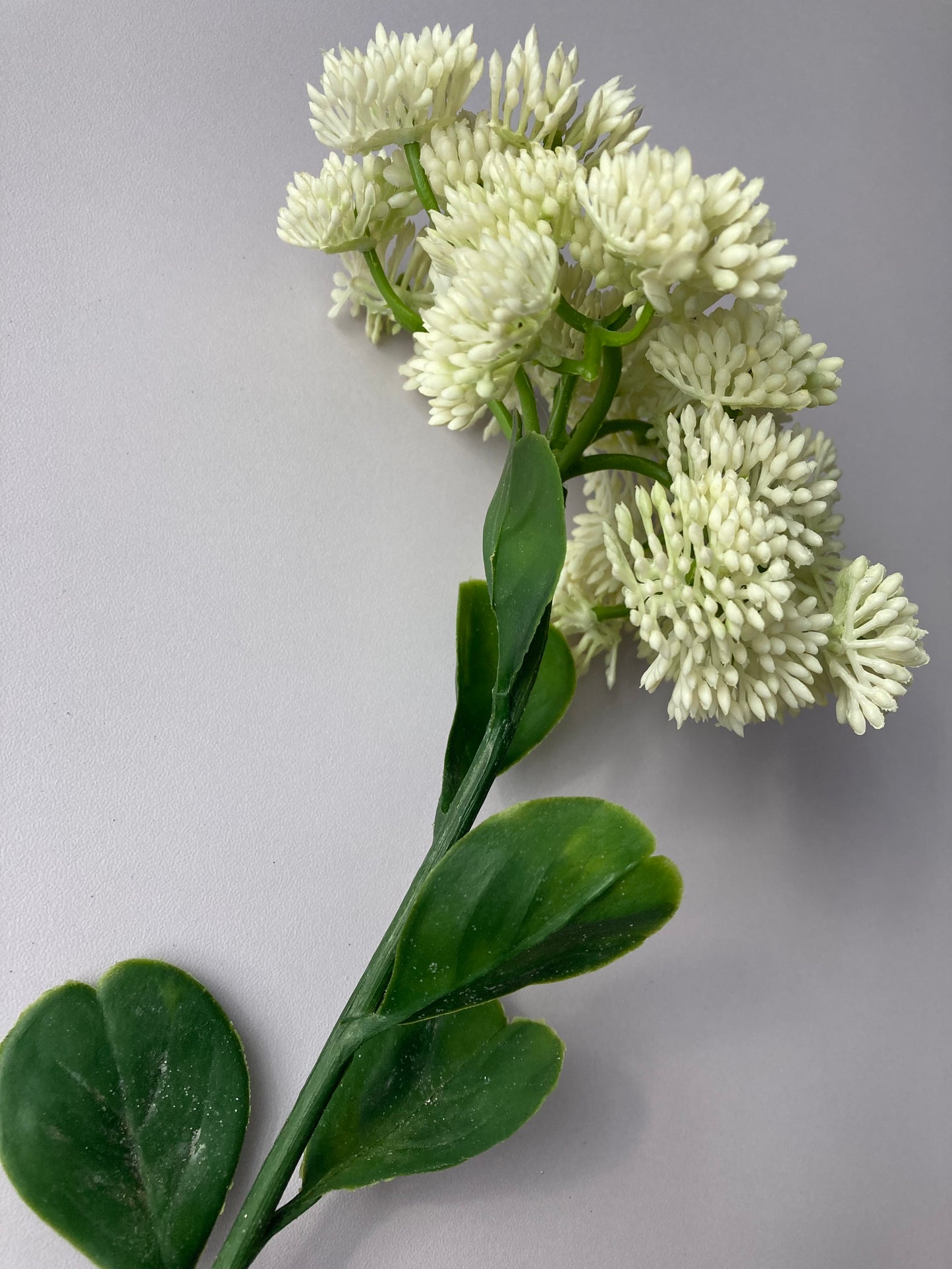 White/Ivory Sedum Spray