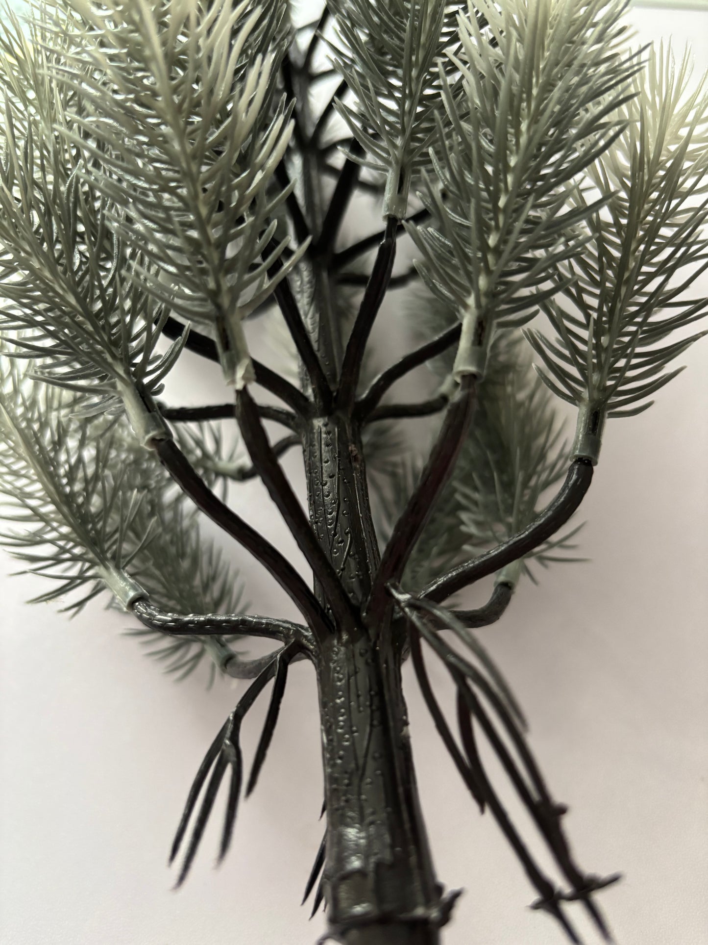 Small Snowy Spruce Tree