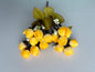 Yellow Rosebud Bunch