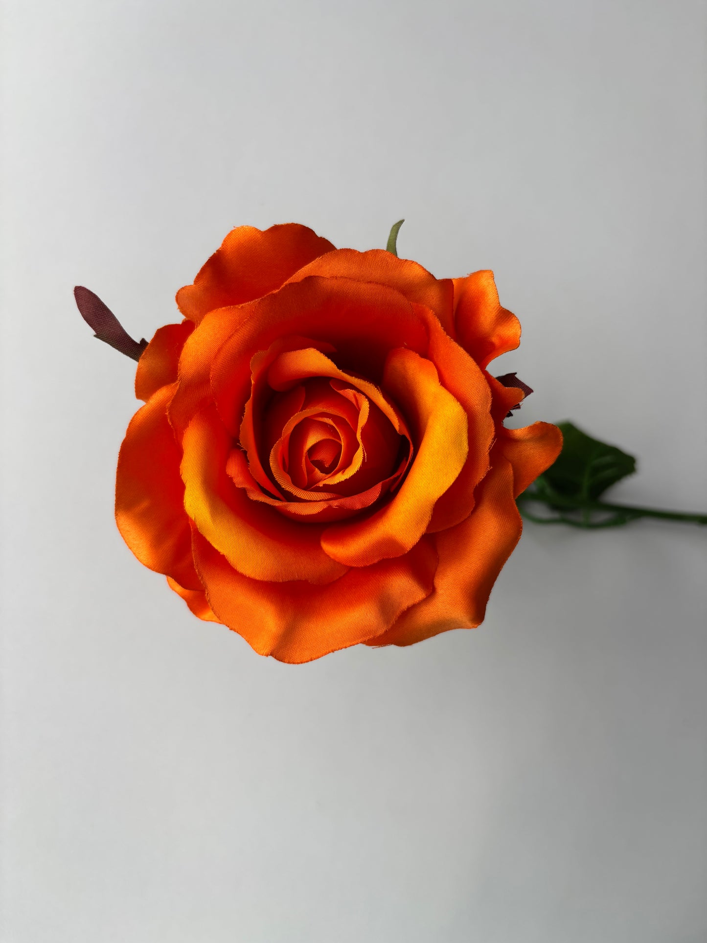 67cm Orange Rose Single Long Stem