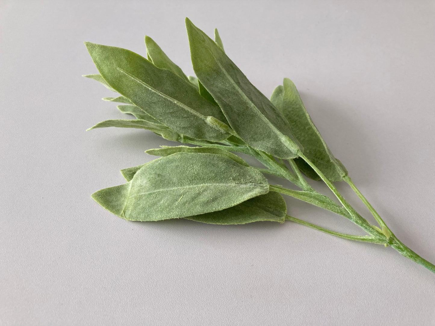 Flocked Sage Foliage Spray