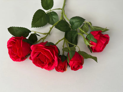 Red Rose Mixed Bud Spray