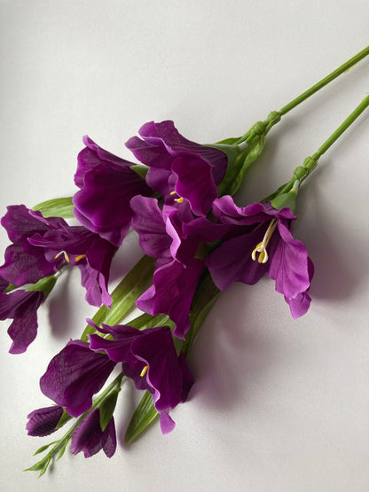 Purple Gladiolus Spray