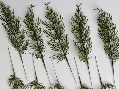 10 Cedar Single Stems