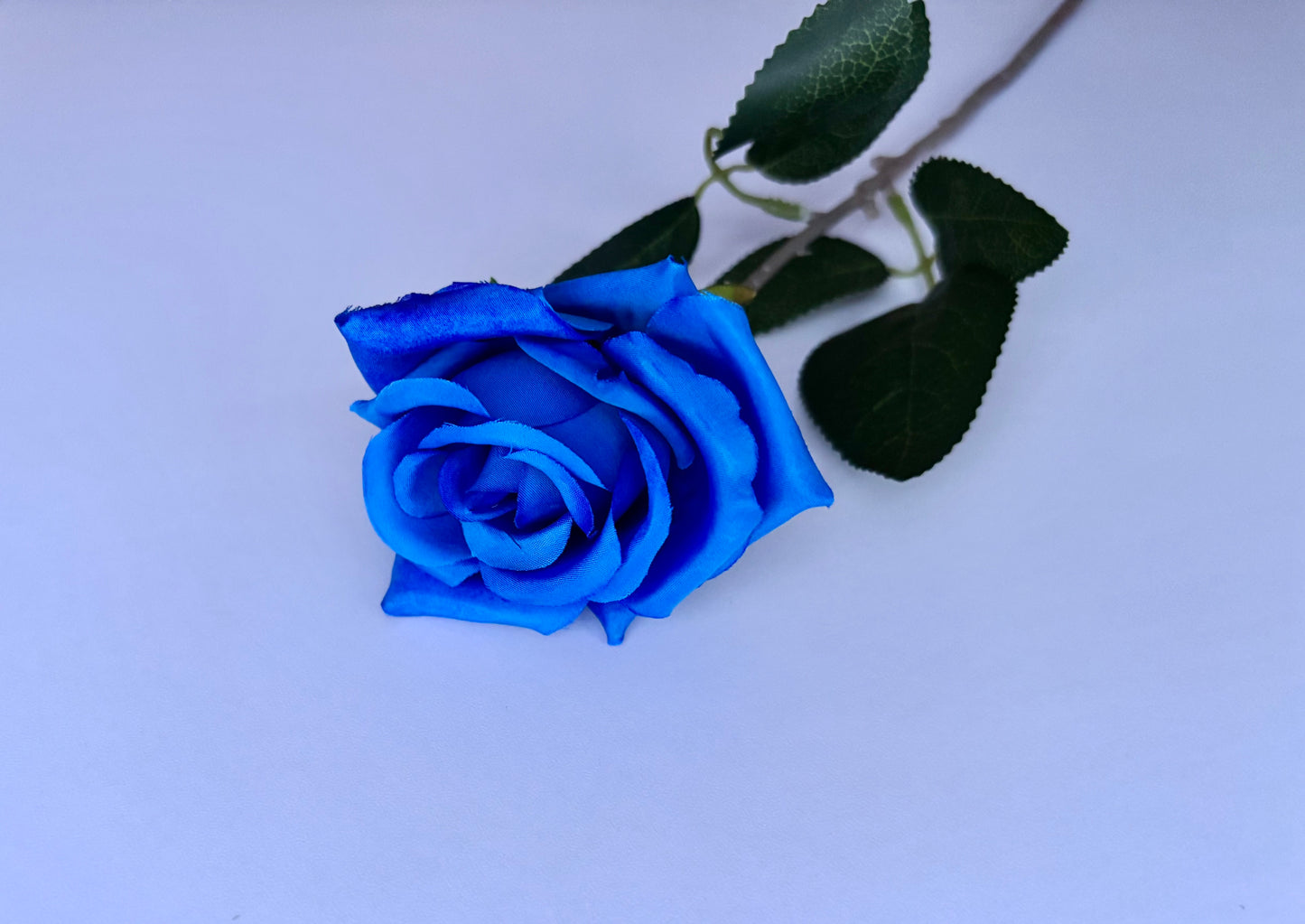 Diamond Blue Rose Stem
